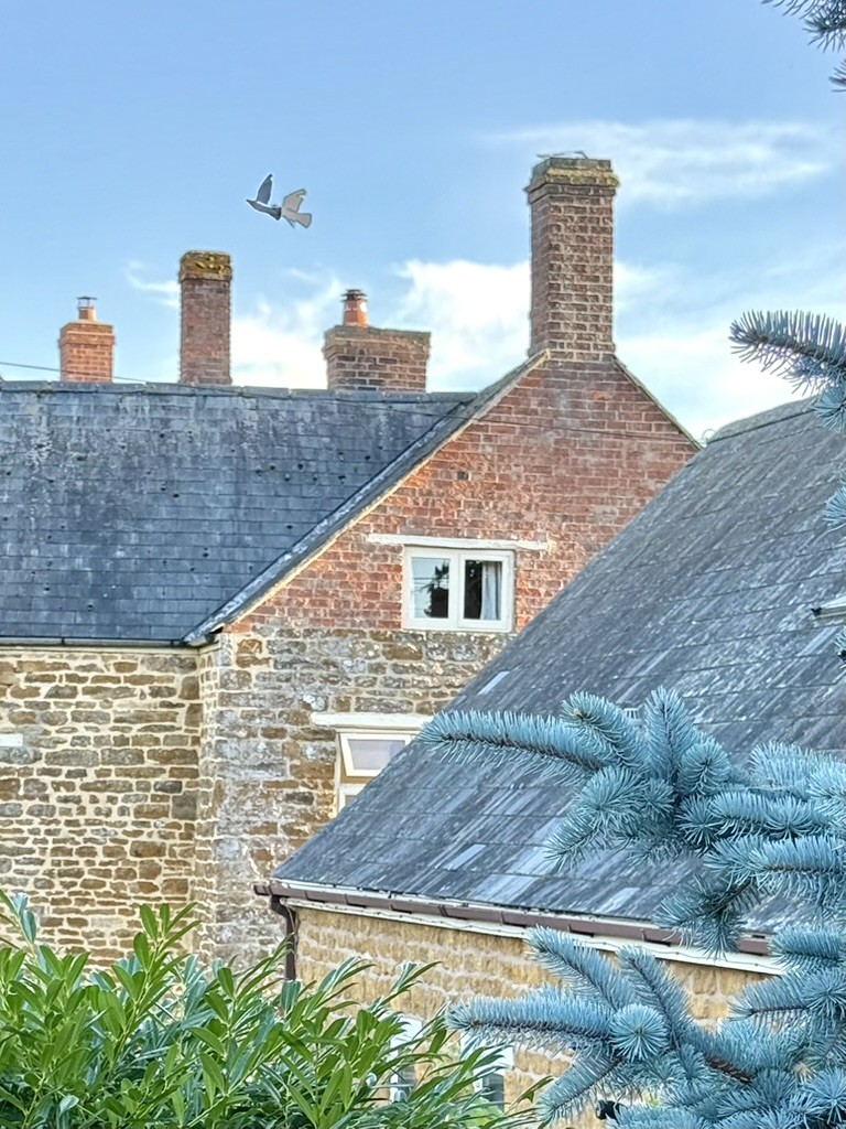 Stone rooftops with a carved sculpture in the foreground