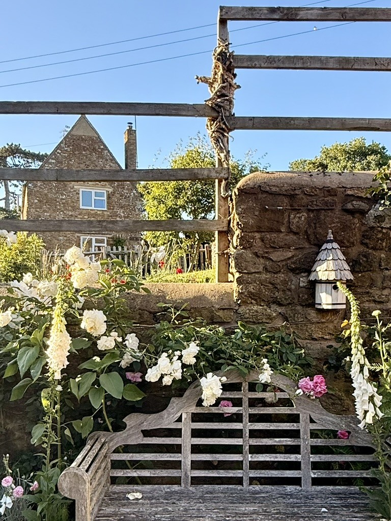 A white wooden garden bench beneath a flower-covered trellis beside a stone house