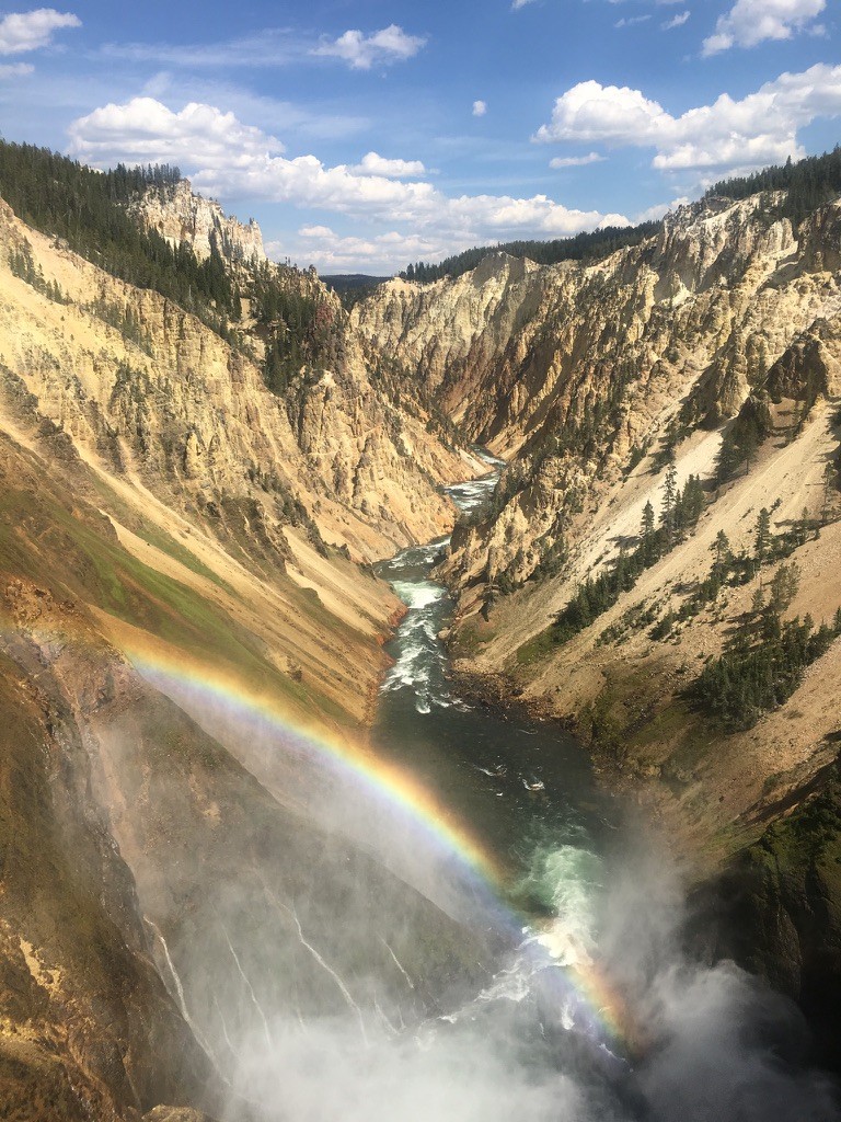 Golden canyon walls around a winding river, with a rainbow in waterfall mist in the Grand Canyon of the Yellowstone