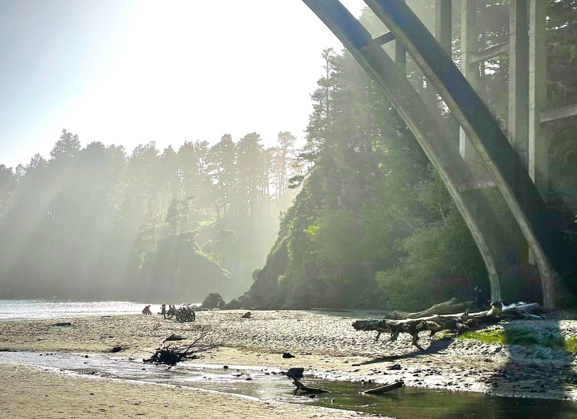 Sunlight beneath a coastal bridge, with waves and forest beyond