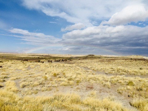 Golden grassland beneath a wide sky filled with clouds
