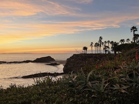 Palm trees along a rocky coast beneath a pastel sunset