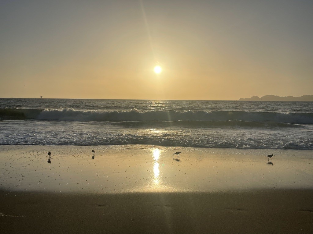 Sunlight reflected on waves and wet sand